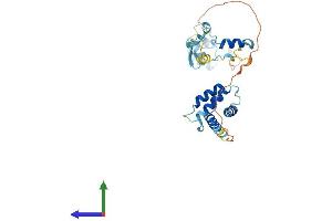 AlphaFold protein structure predicition of Human Recombinant CUEDC2 Protein, UniprotID Q9H467