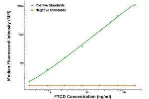 Luminex Assay (LMNX) image for anti-Formiminotransferase Cyclodeaminase (FTCD) antibody (ABIN2715578)