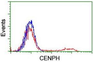 HEK293T cells transfected with either RC204531 overexpress plasmid (Red) or empty vector control plasmid (Blue) were immunostained by anti-CENPH antibody (ABIN2455280), and then analyzed by flow cytometry. (CENPH anticorps)