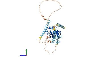 AlphaFold protein structure predicition of Mouse Recombinant Otud3 Protein, UniprotID B1AZ99