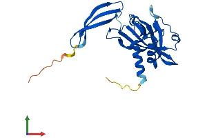 AlphaFold protein structure predicition of Mouse Recombinant Nudt5 Protein, UniprotID Q9JKX6