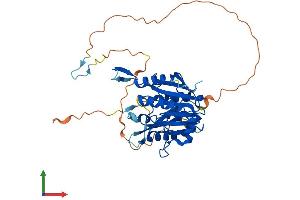 AlphaFold protein structure predicition of Mouse Recombinant Mettl22 Protein, UniprotID Q8R1C6