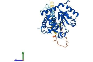 AlphaFold protein structure predicition of Human Recombinant ST6GALNAC3 Protein, UniprotID Q8NDV1