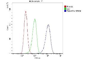 Flow Cytometry analysis of A431 cells using anti-TIMM17A antibody (ABIN6719637).