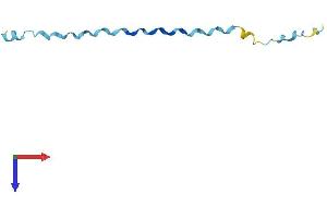 AlphaFold protein structure predicition of Human Recombinant SPRR2E Protein, UniprotID P22531