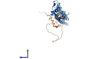 AlphaFold protein structure predicition of Mouse Recombinant Ttyh3 Protein, UniprotID Q6P5F7
