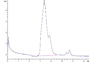 The purity of Mouse GITR/TNFRSF18 is greater than 95 % as determined by SEC-HPLC.