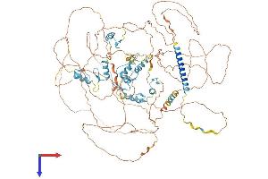 AlphaFold protein structure predicition of Mouse Recombinant Sall2 Protein, UniprotID Q9QX96