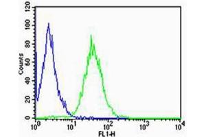 Flow cytometric analysis of Raji cells using CD74(green, Cat(ABIN1944838 and ABIN2838498)) compared to an isotype control of mouse IgG2b(blue).