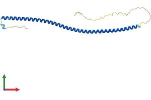 AlphaFold protein structure predicition of Human Recombinant CCDC85B Protein, UniprotID Q15834