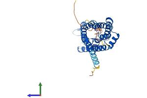 AlphaFold protein structure predicition of Human Recombinant AQP6 Protein, UniprotID Q13520