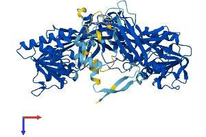 AlphaFold protein structure predicition of Mouse Recombinant Prmt7 Protein, UniprotID Q922X9