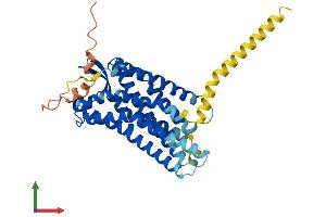 AlphaFold protein structure predicition of Human Recombinant AGTR2 Protein, UniprotID P50052