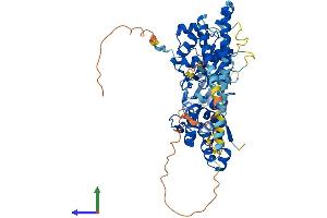 AlphaFold protein structure predicition of Human Recombinant ACTR5 Protein, UniprotID Q9H9F9