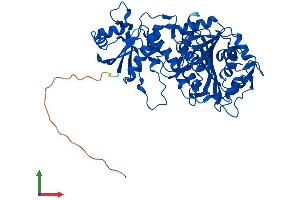 AlphaFold protein structure predicition of Human Recombinant LAP3 Protein, UniprotID P28838