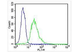 Overlay histogram showing Hela cells stained with (ABIN6243771 and ABIN6577109) (green line). (EEF1E1 anticorps)