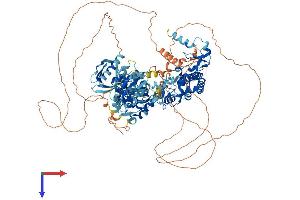 AlphaFold protein structure predicition of Mouse Recombinant Plekhm1 Protein, UniprotID Q7TSI1