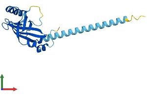 AlphaFold protein structure predicition of Human Recombinant CBFB Protein, UniprotID Q13951