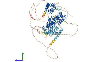 AlphaFold protein structure predicition of Mouse Recombinant Satb2 Protein, UniprotID Q8VI24