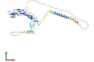 AlphaFold protein structure predicition of Mouse Recombinant Eda2r Protein, UniprotID Q8BX35