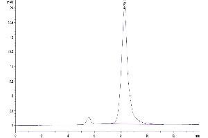 The purity of Mouse BAMBI is greater than 95 % as determined by SEC-HPLC.