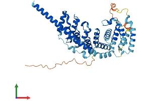 AlphaFold protein structure predicition of Mouse Recombinant Mrps27 Protein, UniprotID Q8BK72