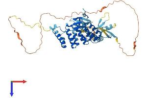AlphaFold protein structure predicition of Human Recombinant NOXA1 Protein, UniprotID Q86UR1