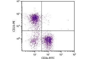 BALB/c mouse splenocytes were stained with Rat Anti-Mouse CD23-PE.