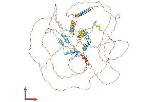 AlphaFold protein structure predicition of Human Recombinant ZNF148 Protein, UniprotID Q9UQR1