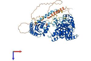 AlphaFold protein structure predicition of Human Recombinant TYW1 Protein, UniprotID Q9NV66