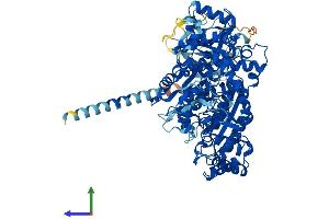 AlphaFold protein structure predicition of Human Recombinant NDST3 Protein, UniprotID O95803