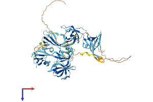 AlphaFold protein structure predicition of Human Recombinant THEMIS Protein, UniprotID Q8N1K5
