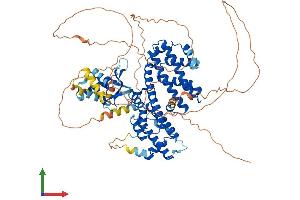AlphaFold protein structure predicition of Mouse Recombinant Rfx3 Protein, UniprotID P48381