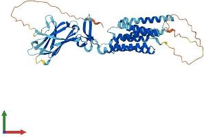 AlphaFold protein structure predicition of Mouse Recombinant Tmem8b Protein, UniprotID B1AWJ5
