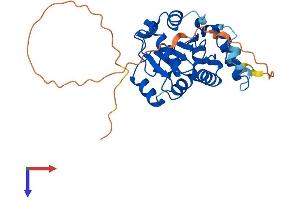 AlphaFold protein structure predicition of Human Recombinant CMSS1 Protein, UniprotID Q9BQ75
