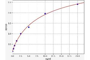 Typical standard curve (TYK2 Kit ELISA)