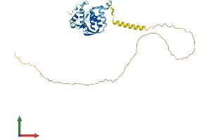 AlphaFold protein structure predicition of Mouse Recombinant Prpf38a Protein, UniprotID Q4FK66
