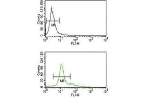 PCSK2 antibody flow cytometry analysis of K562 cells (bottom histogram) compared to a negative control (top histogram).