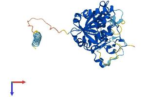AlphaFold protein structure predicition of Human Recombinant GLT8D2 Protein, UniprotID Q9H1C3