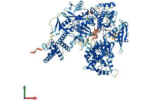 AlphaFold protein structure predicition of Mouse Recombinant Jak3 Protein, UniprotID Q62137