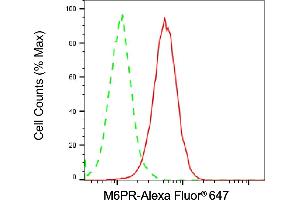 Flow cytometric analysis of M6PR expression in HAP-1 cells using M6PR antibody (ABIN7799331), 1:2,000). (M6PR anticorps)