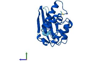 AlphaFold protein structure predicition of Mouse Recombinant Tprkb Protein, UniprotID Q8QZZ7