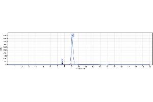 anti-NCAM1 (Lorvotuzumab Biosimilar) antibody