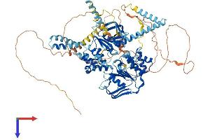 AlphaFold protein structure predicition of Mouse Recombinant Abcf1 Protein, UniprotID Q6P542