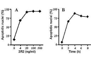 ELISA image for anti-TNF Receptor Superfamily, Member 6 (FAS) antibody (ABIN187302)