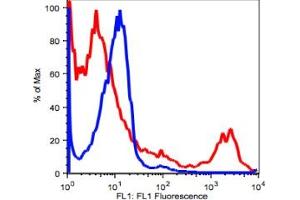 Image no. 2 for anti-HLA-DR (HLA-DR) antibody (ABIN2704364)