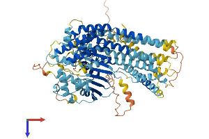 AlphaFold protein structure predicition of Mouse Recombinant Nuggc Protein, UniprotID D3YWJ0