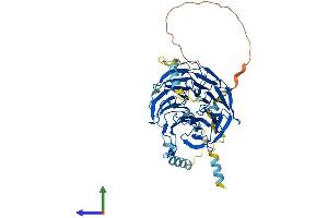 AlphaFold protein structure predicition of Human Recombinant CDC20 Protein, UniprotID Q12834