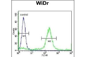 ADDEC1 Antibody (N-term) (ABIN653064 and ABIN2842665) flow cytometric analysis of WiDr cells (right histogr) compared to a negative control cell (left histogr).