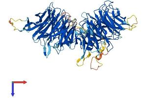 AlphaFold protein structure predicition of Mouse Recombinant Elp2 Protein, UniprotID Q91WG4